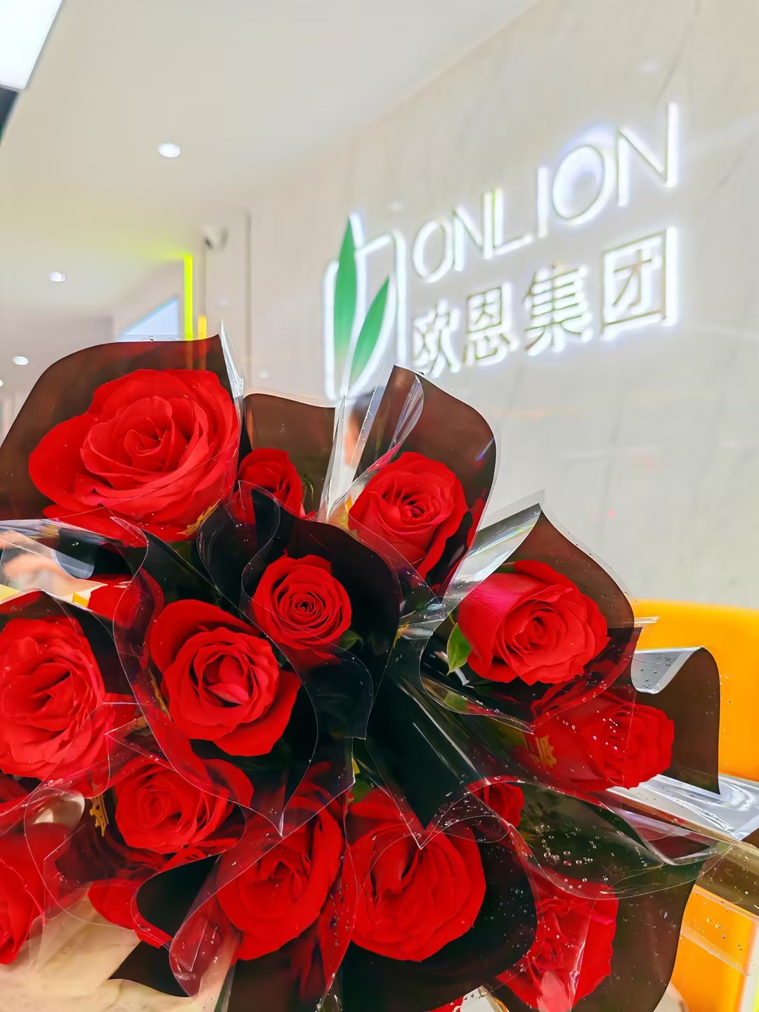 ad81ba427397238702ff2db4a109b6fa_compress.jpg ad81ba427397238702ff2db4a109b6fa_compress.jpg